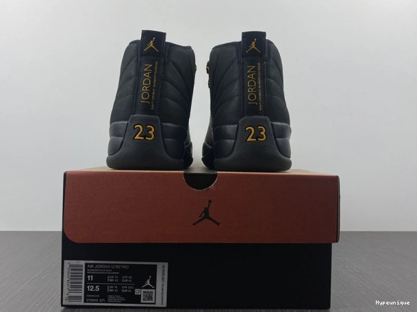 Affordable hype 12 Black Air Taxi Jordan CT8013-071 0226