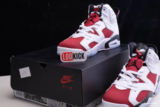 Hot sale hype 'CARMINE' CT8529-106 AIR 2021 JORDAN RETRO 6 0215